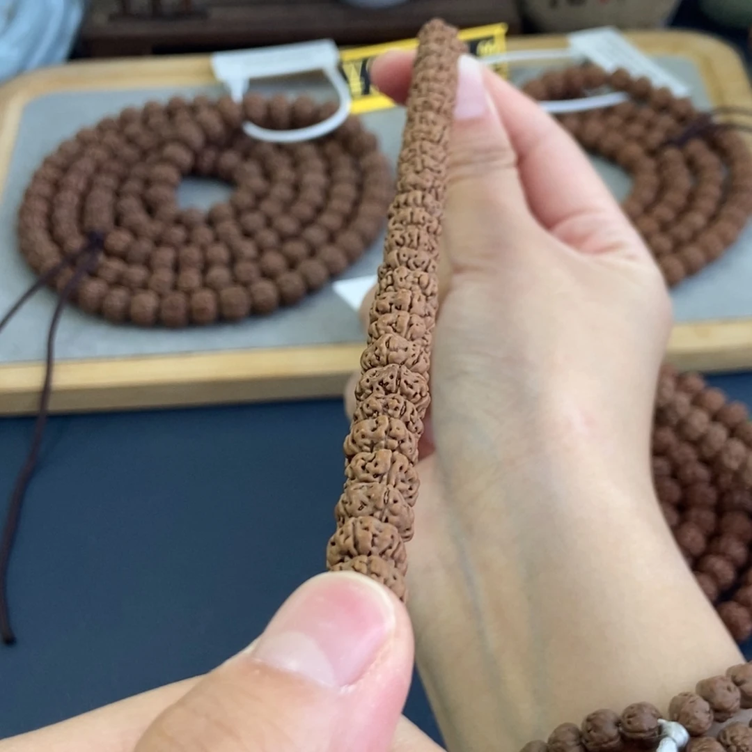 手串金刚菩提851勿里达五瓣树王