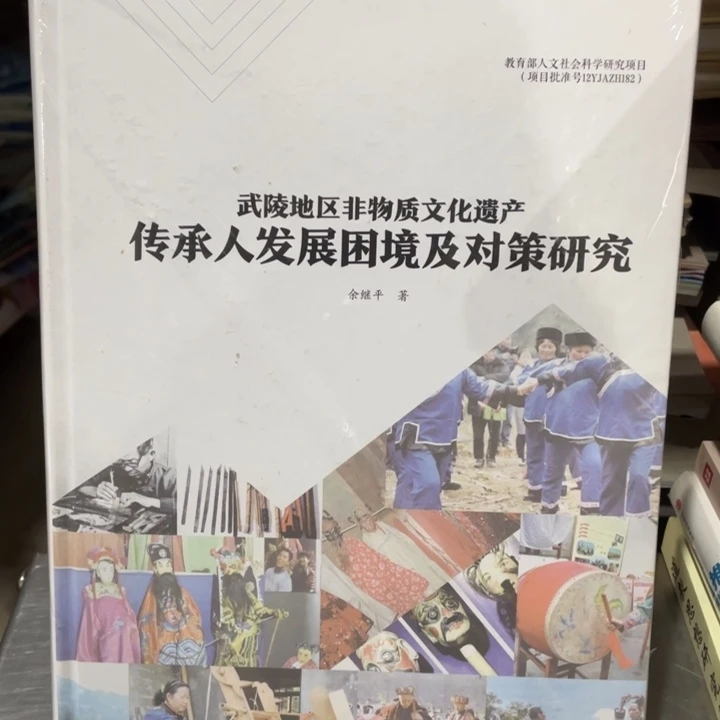 武陵地区非物质文化遗产传承人发展困境及对策研究