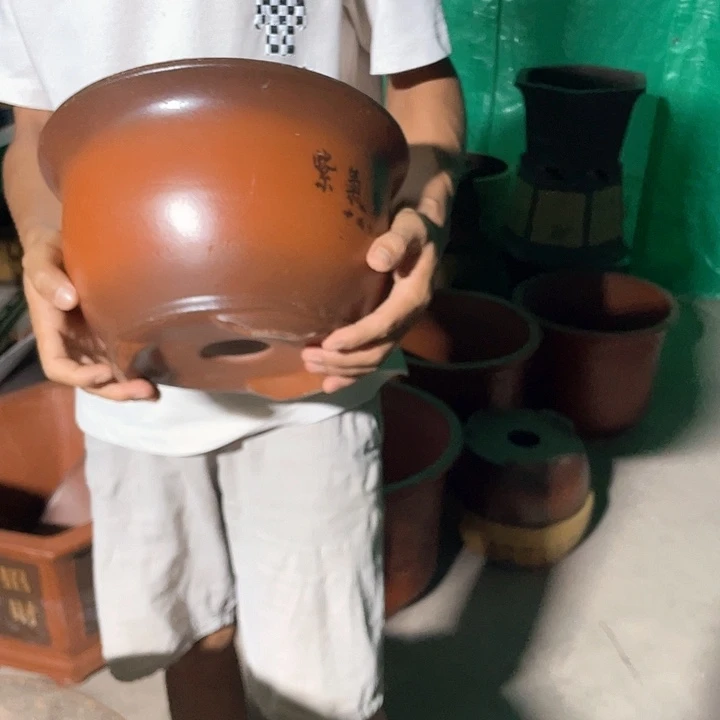 30紫气东来花盆花盆