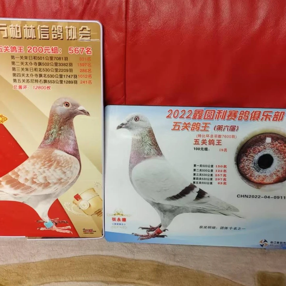 卡巴匹林钙适用于信鸽赛鸽肉鸽等各类鸟类宠物