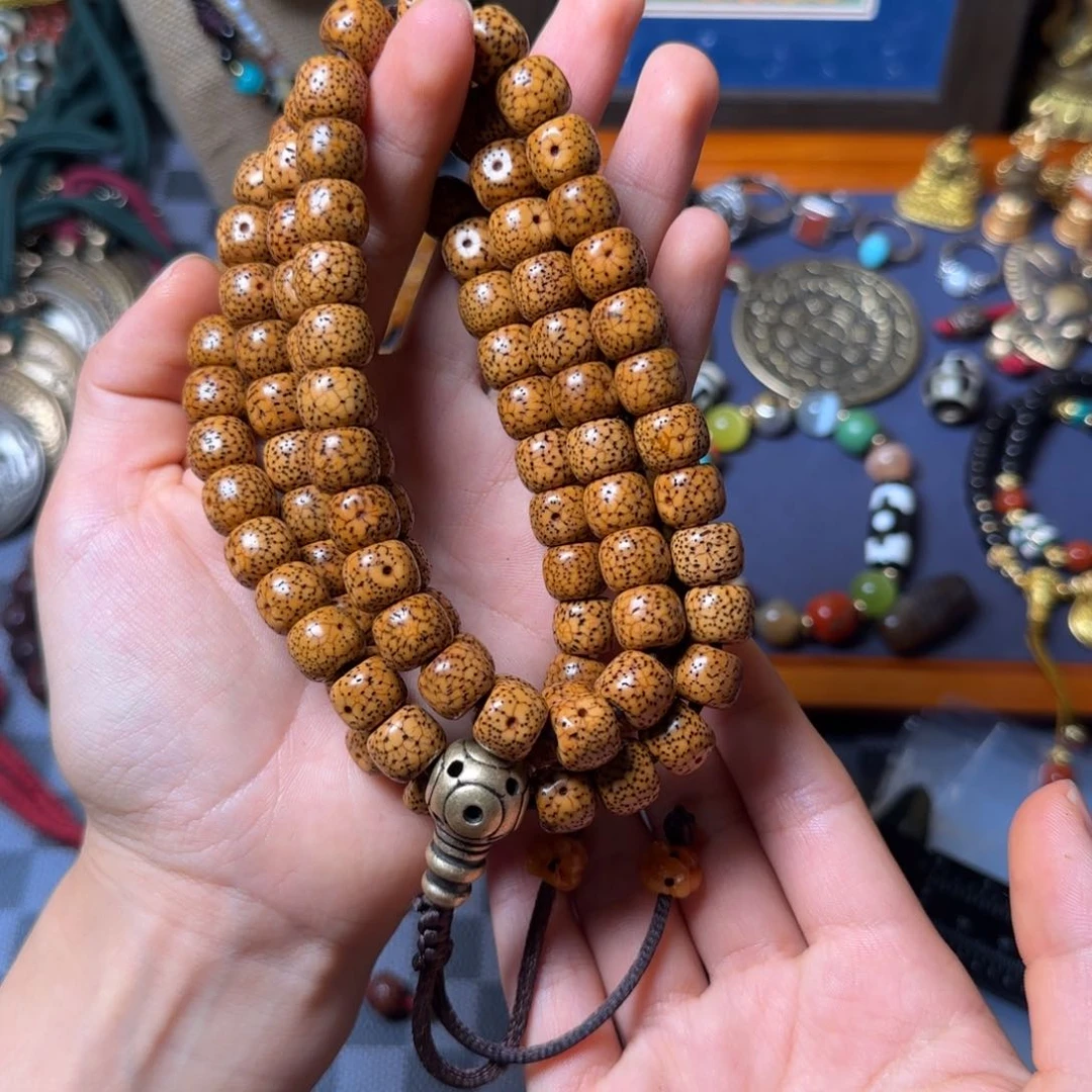 塑料姓*～哈哈哈哈哈哈哈