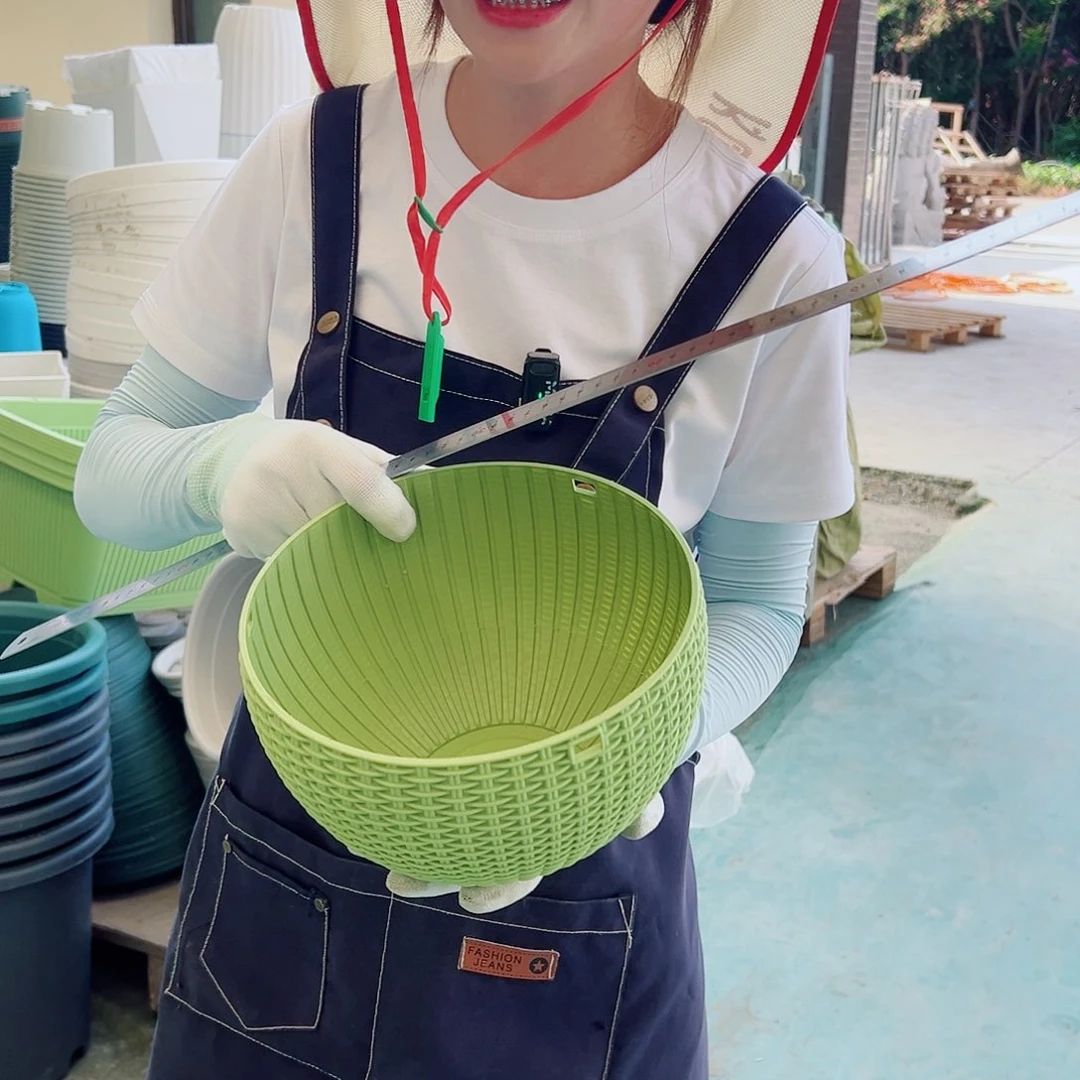 瑕疵吊兰中号口21果绿色5套
