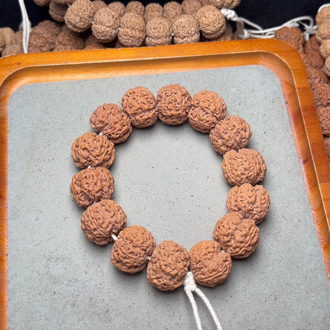 菩提13号金刚菩提蜂窝24+