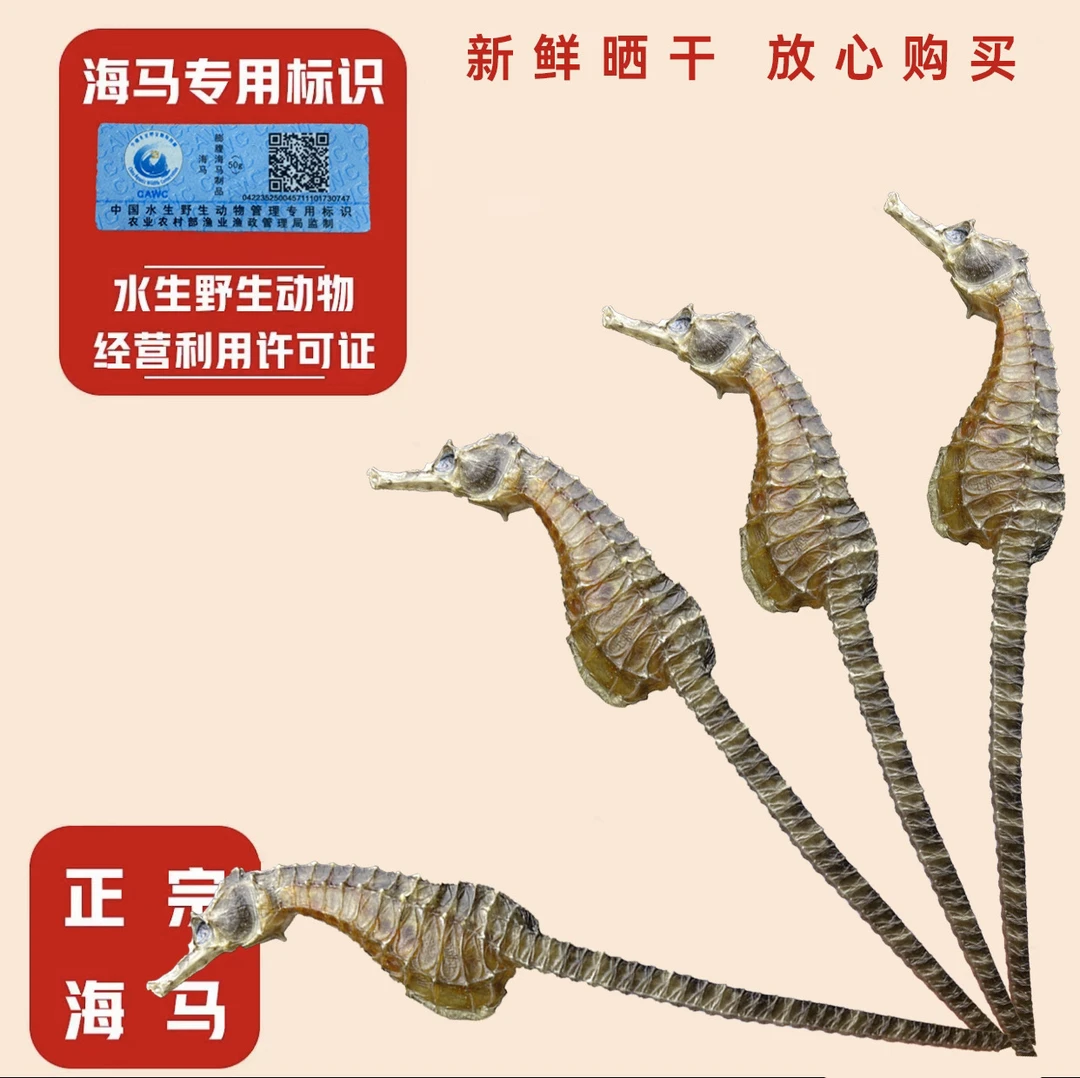 【正品保真】海干货马馬泡酒煲汤料茶 公母搭配 源头直发带溯源码