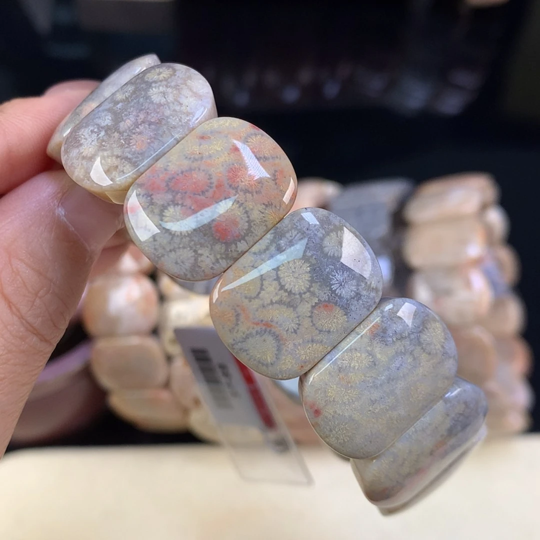 【闪购商品】颈饰未镶嵌硅化珊瑚（珊瑚玉）上新手牌73号