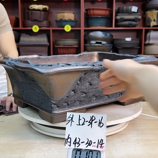 贵****园紫砂花盆中香气浓重