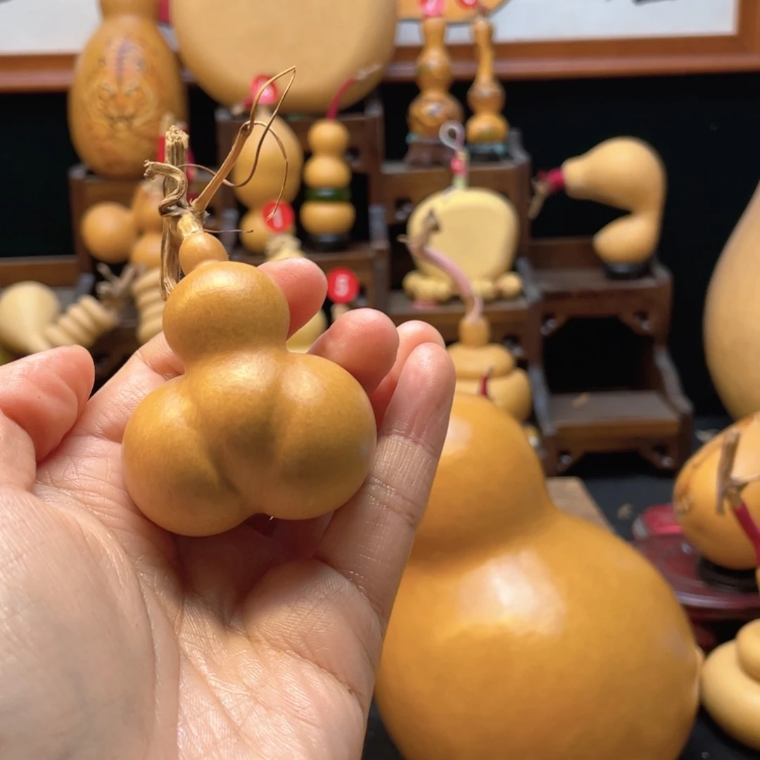 M*F大自然的秘密第十一章