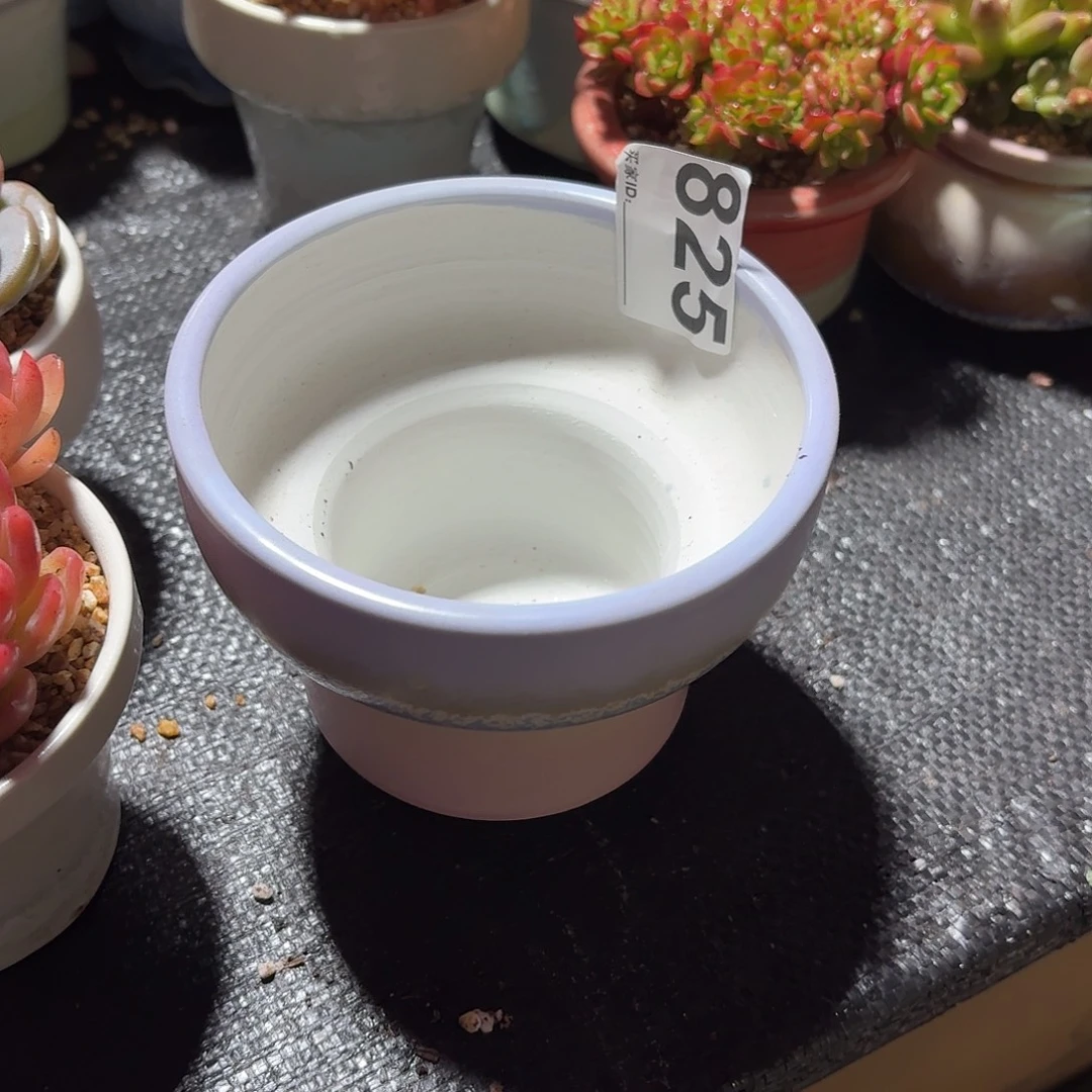 小***8景德镇多肉花盆825