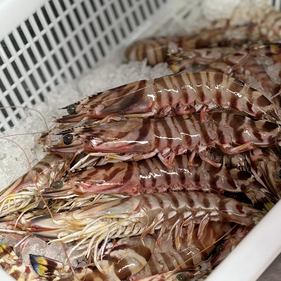 【冻野生大九节】冻野生大九节两斤 9-14只 顺丰发货