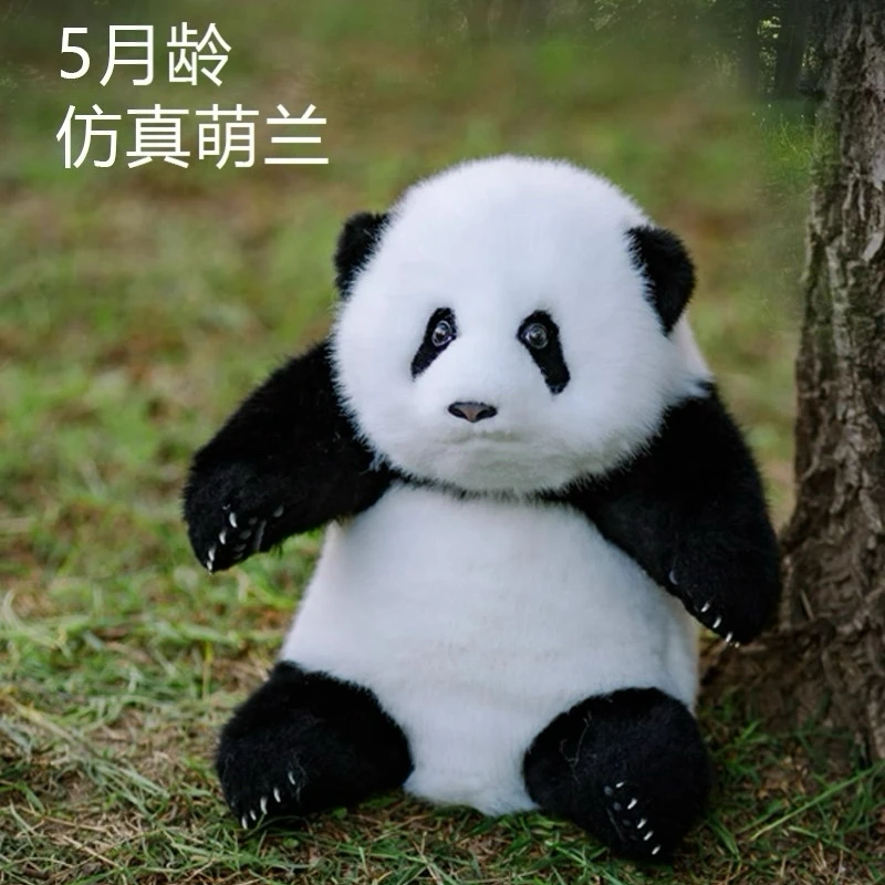 Panda's Hug5月萌兰花花仿真福宝玩偶大熊猫公仔玩具生日礼物