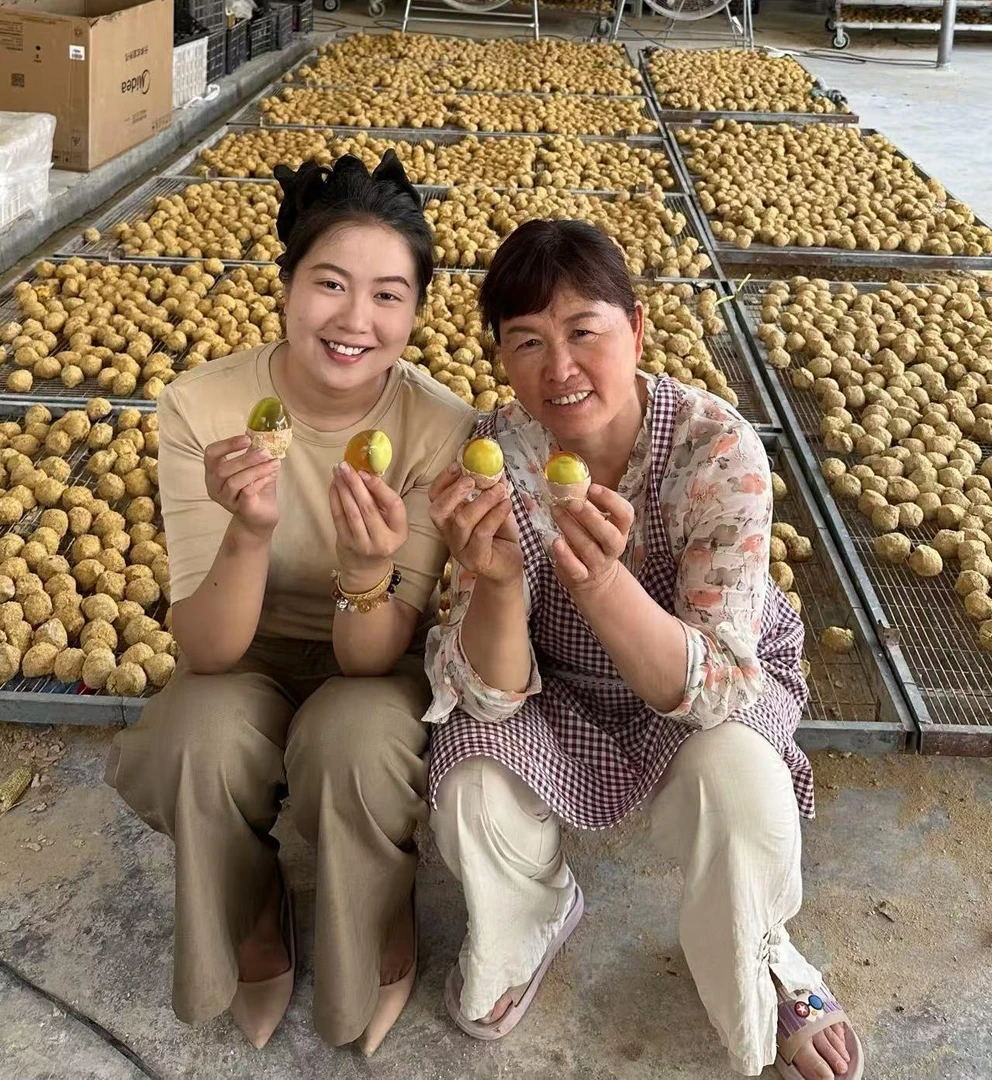 (试吃2枚)程程二姨家手工变蛋溏心农产品变蛋20枚