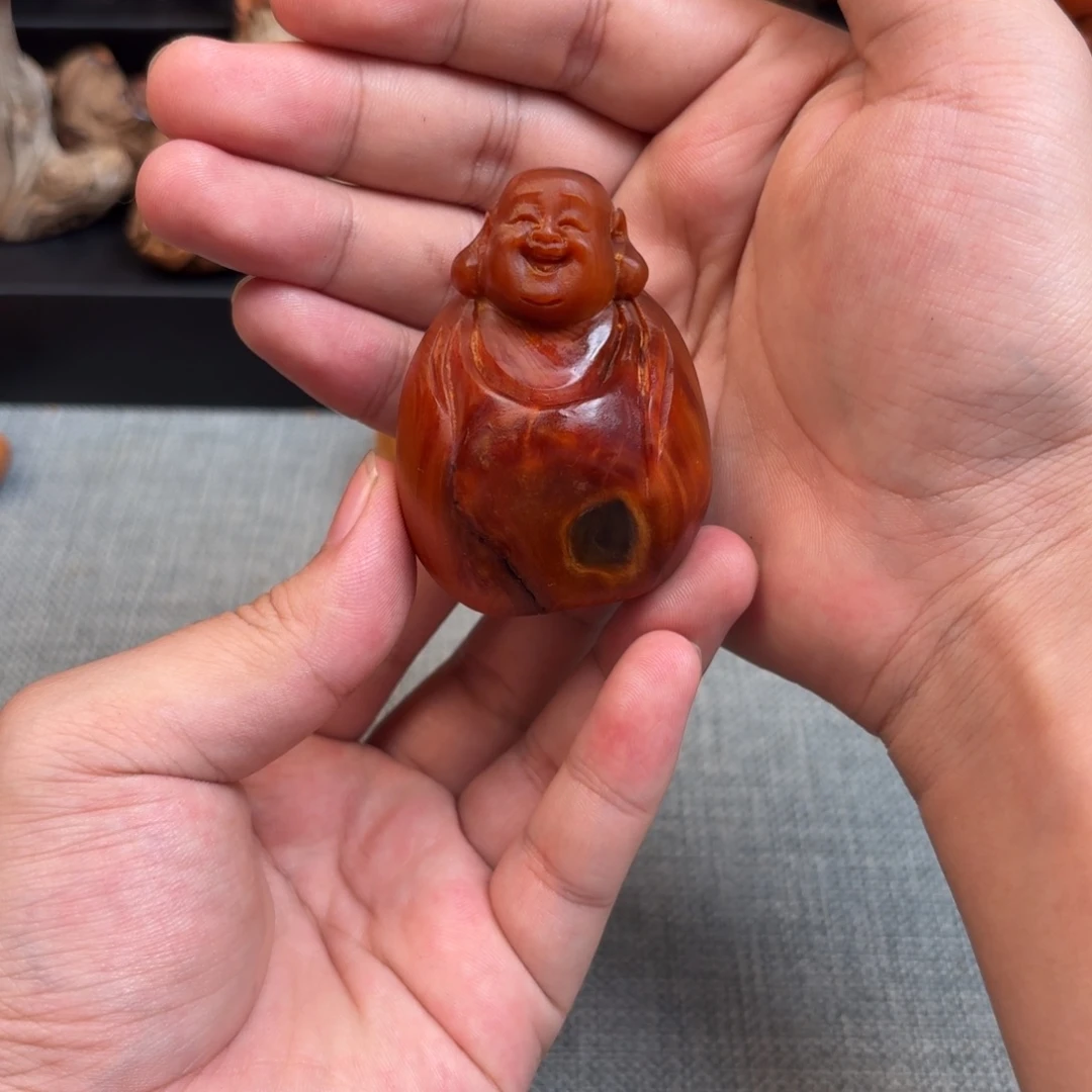 柏木（崖柏）太行崖柏