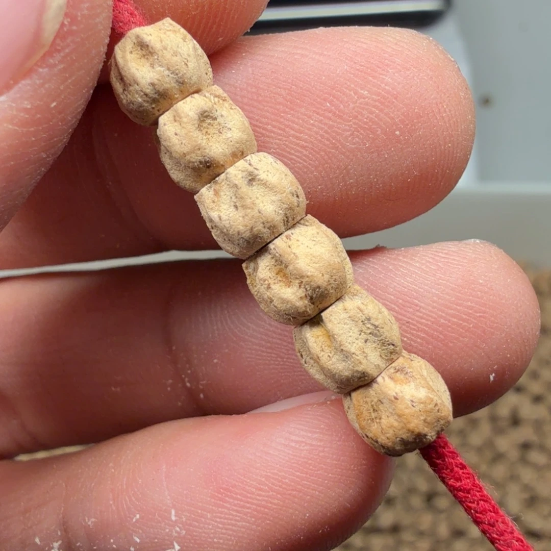 柏香籽/百香籽吊坠