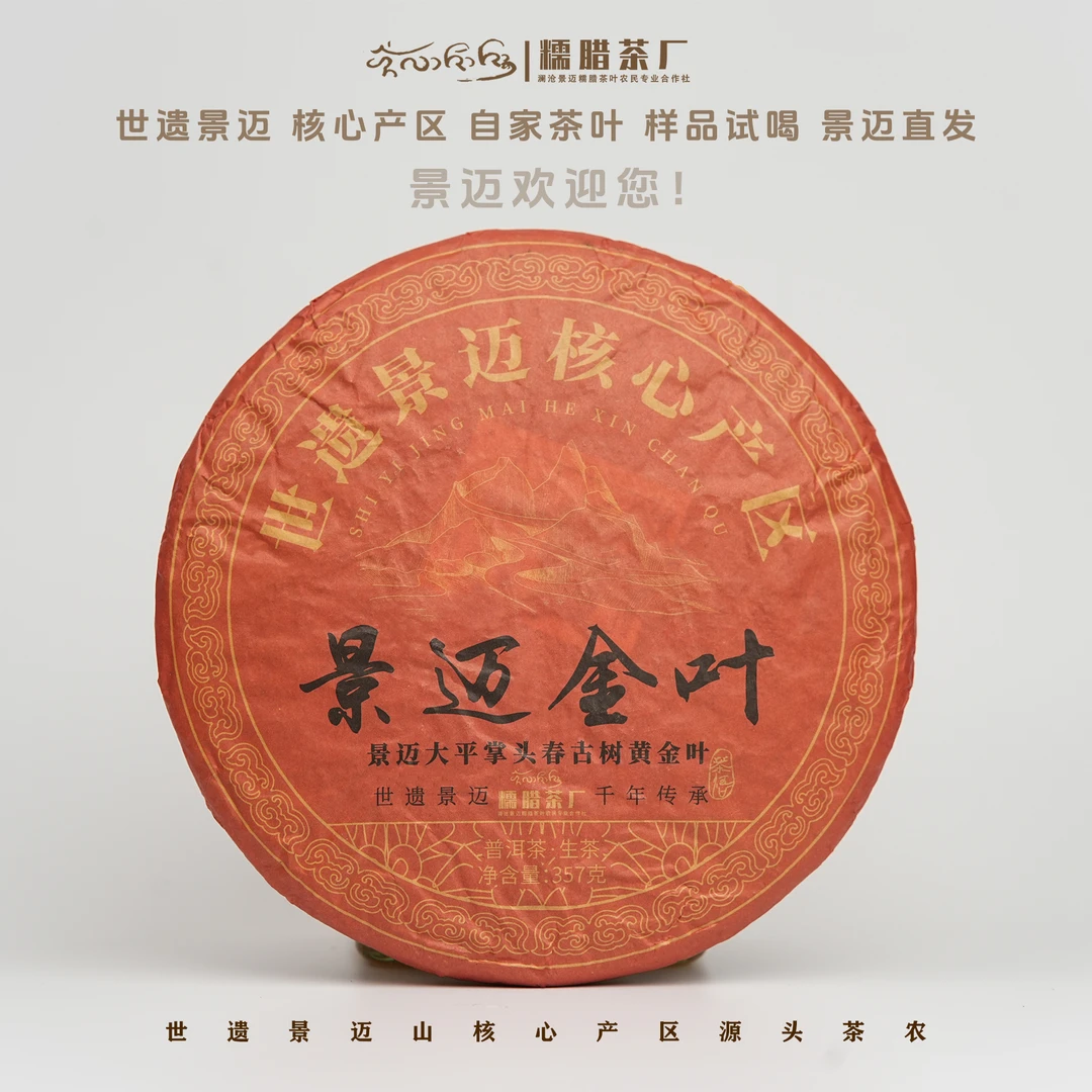 【景迈黄金叶】2025年糯腊茶厂头春古树黄金饼357克/饼
