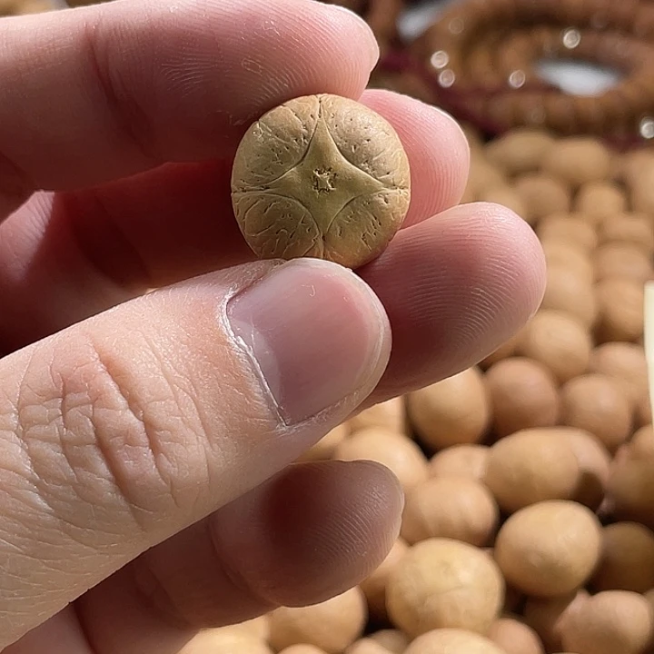 凤眼菩提手串尼泊尔小凤眼