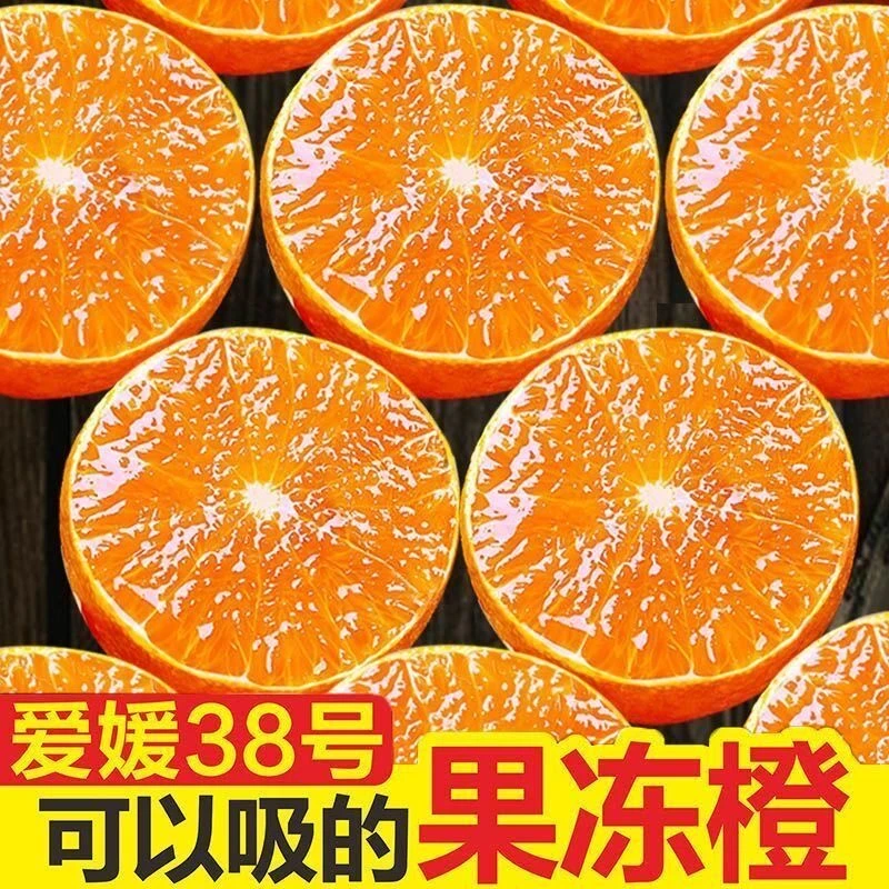 【现摘现发】四川眉山爱媛38号果冻橙新鲜现摘清甜爆汁手剥橙子