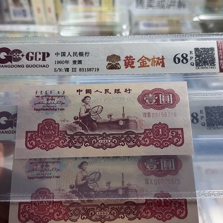 纸三版一元黄金树无四一张3113
