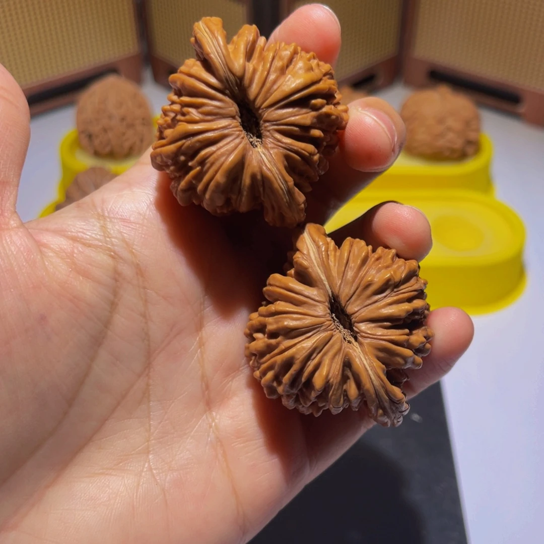 用***8核桃47全品四座楼