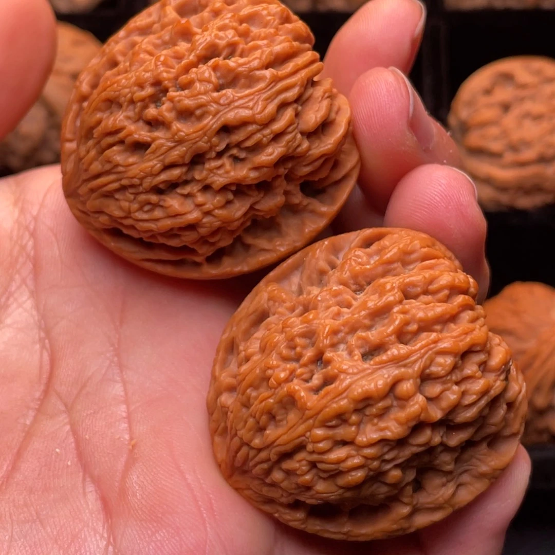 文玩核桃把件秦岭山脉核桃