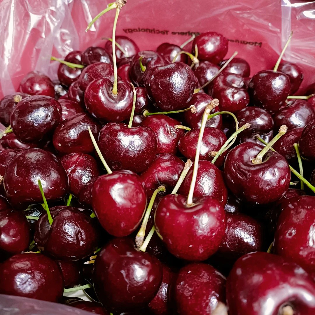 大G车厘子空运桑提娜(2J)2斤4斤内附果径卡