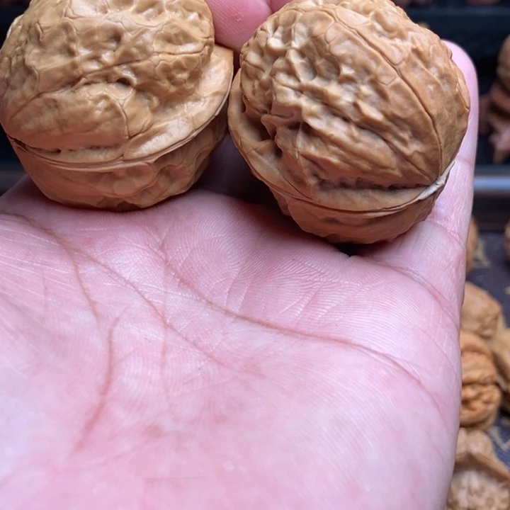 把件桃核2玄武……………………