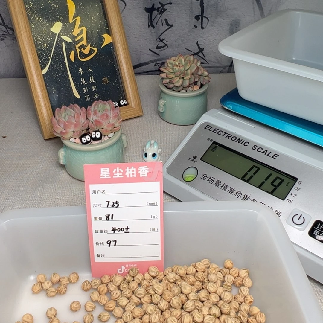 *****吊坠柏香籽/百香籽