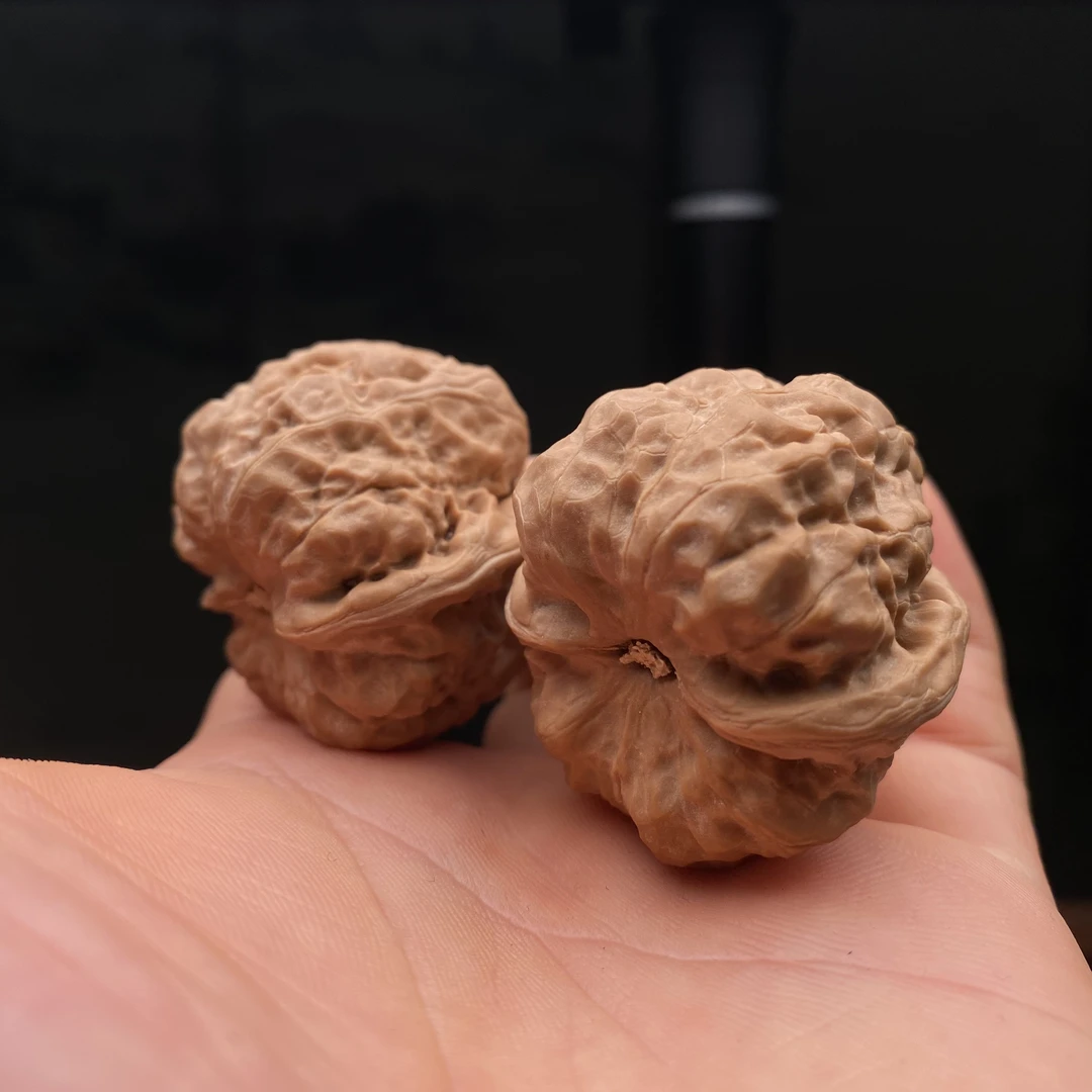 编号25278，边37肚39，延庆山地果，高桩肥三角四面浅开！