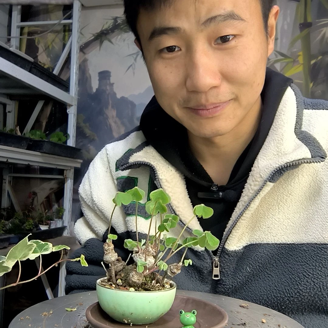 纯***天中青园艺一物一拍30