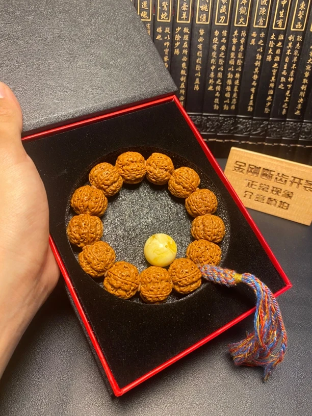 严选巨肉大金刚菩提 14号