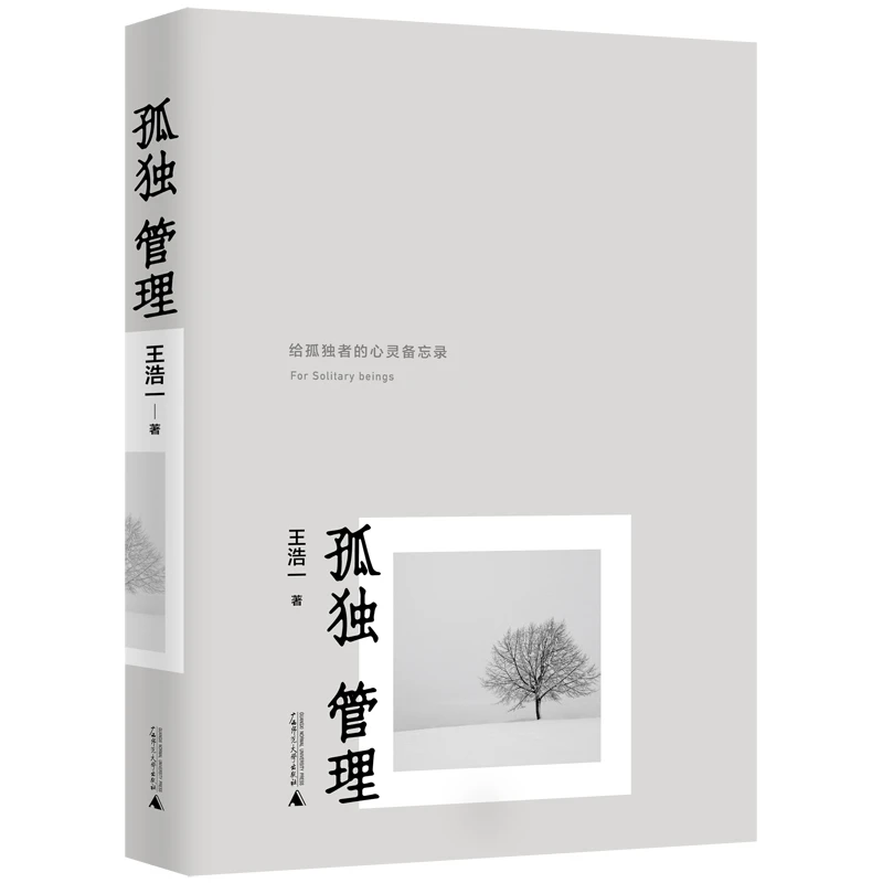 瑕疵 孤独管理 从哲思视角探讨孤独美学 写给孤独者的心灵备忘录