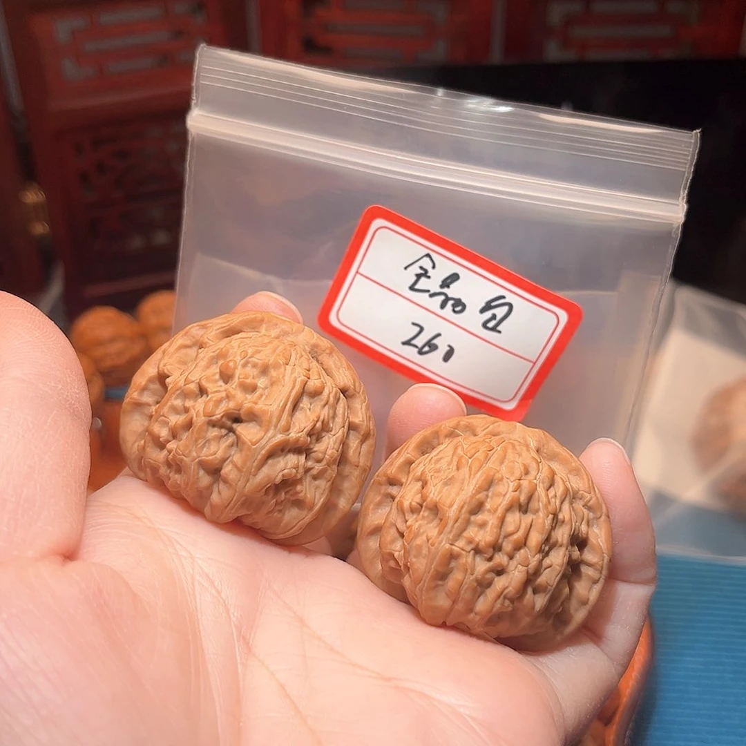 38全品白狮子…………