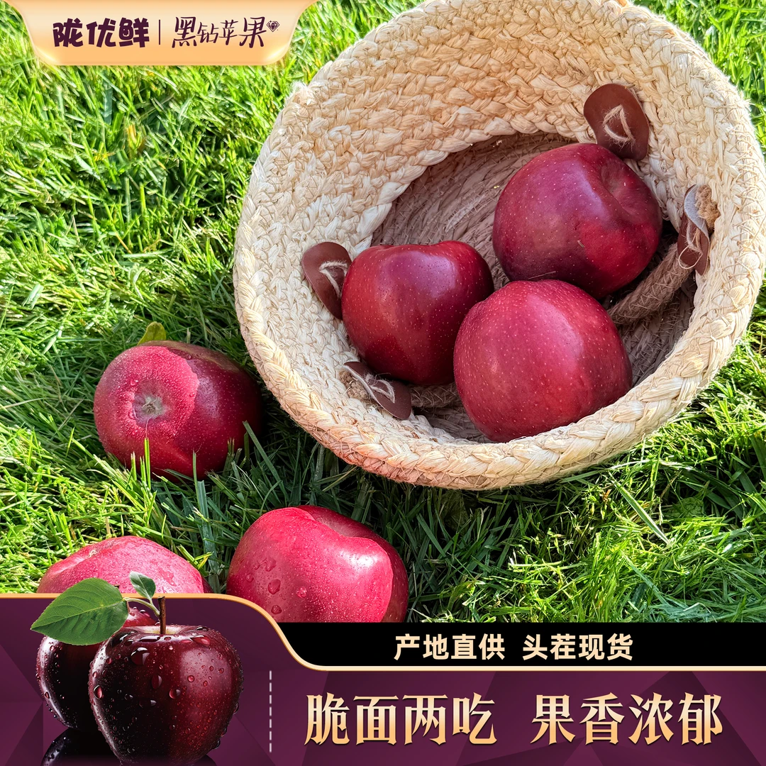 陇优鲜甘肃黑钻苹果高端自然新鲜高品质酸甜多汁产地直发
