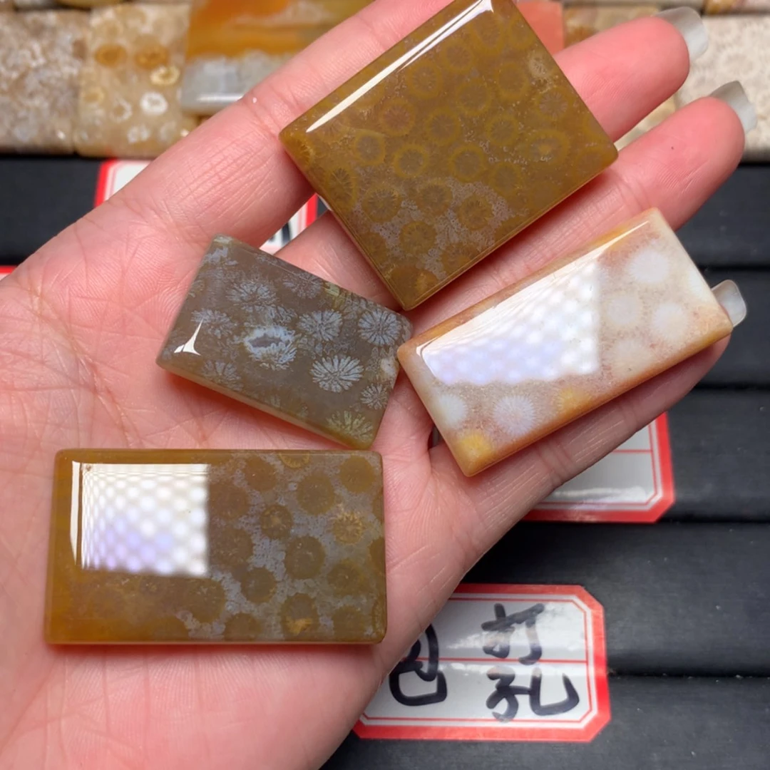 【闪购商品】未镶嵌颈饰硅化玉K****y