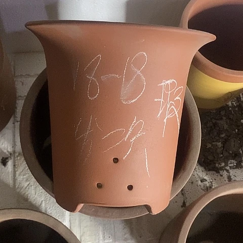 紫砂中国宜兴紫砂花盆，