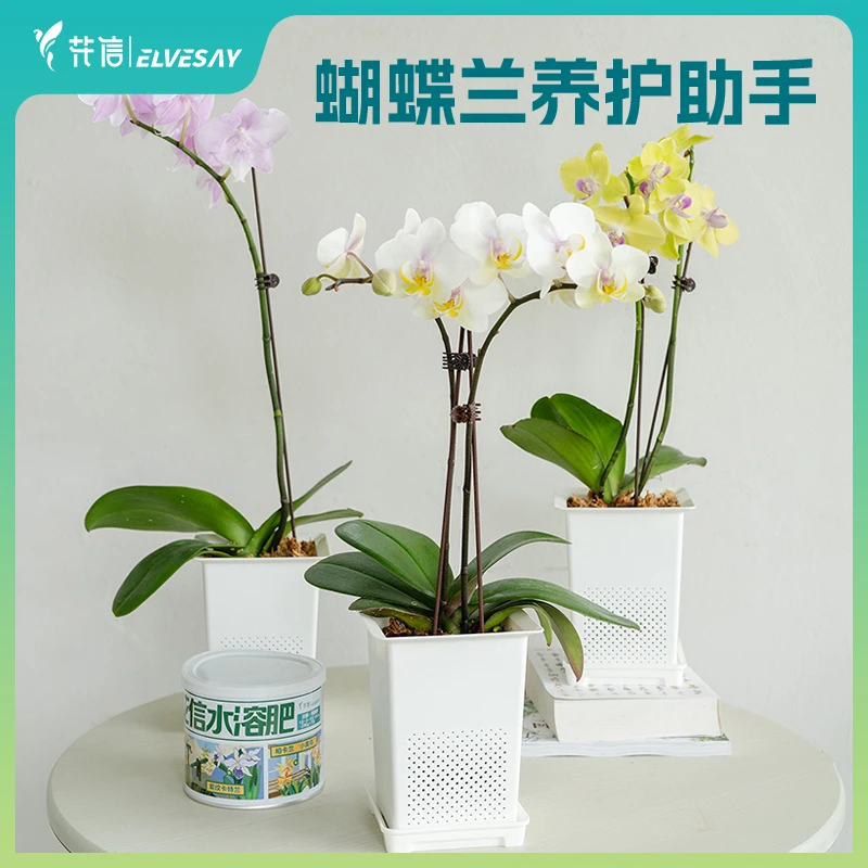 花信蝴蝶兰专用呼吸盆丛林盆套盆水分计兰科专用