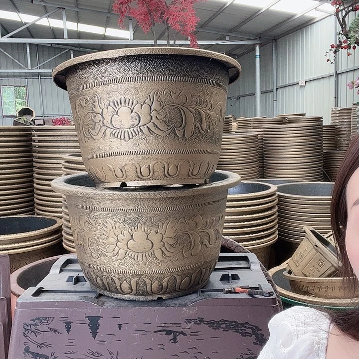 梅花照眼 依然旧风味