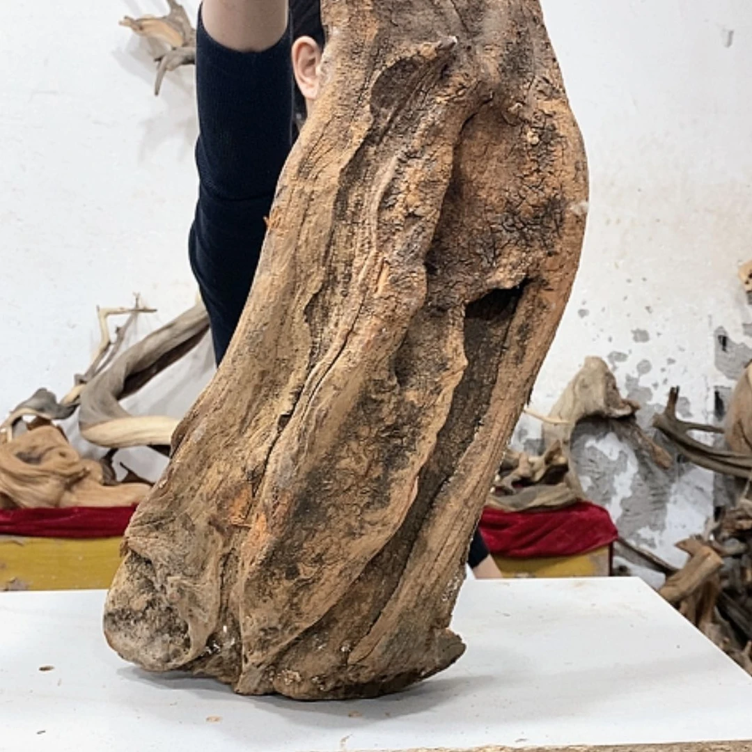 【闪购商品】柏木小*我们都是好孩子啊