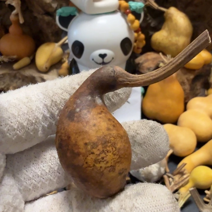 _****66666666666777788888