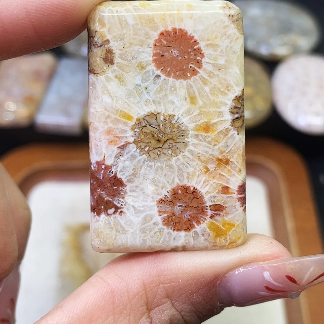 硅化玉颈饰合金?***姐