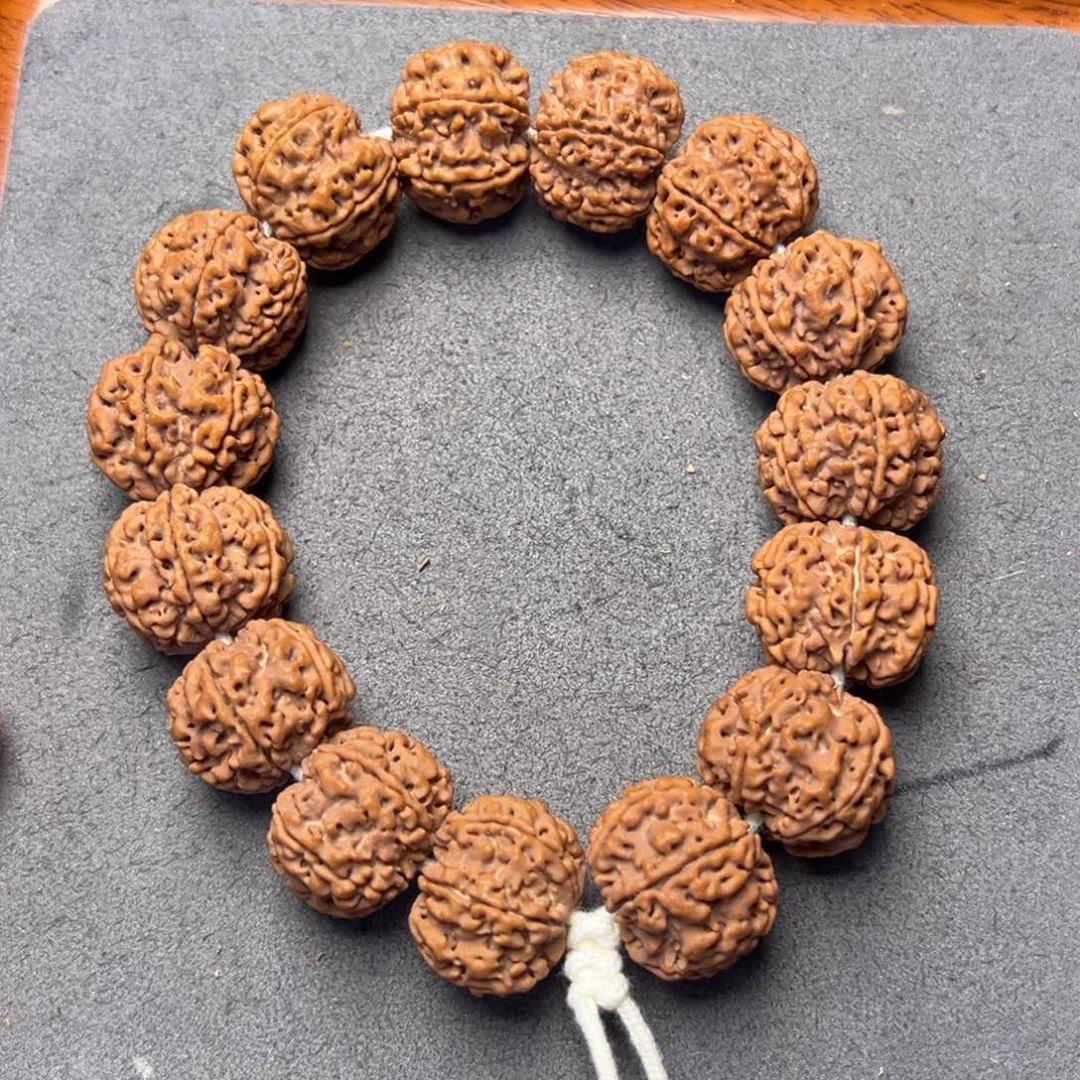 菩提31号金刚菩提原生态六瓣22