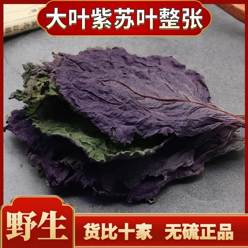 正宗大叶紫苏叶整张农家自采新货紫苏茶干苏叶煲汤香料紫苏叶泡茶