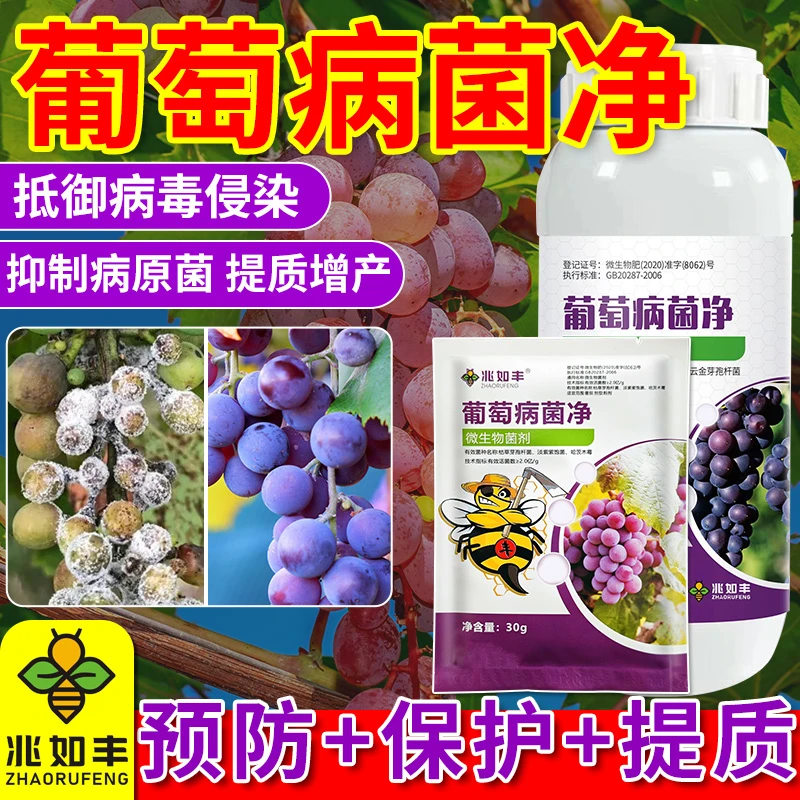 兆如丰葡萄病菌净微生物菌剂葡萄专用效果持久吃着放心预防保护