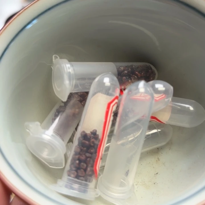 实生超级海星指纹