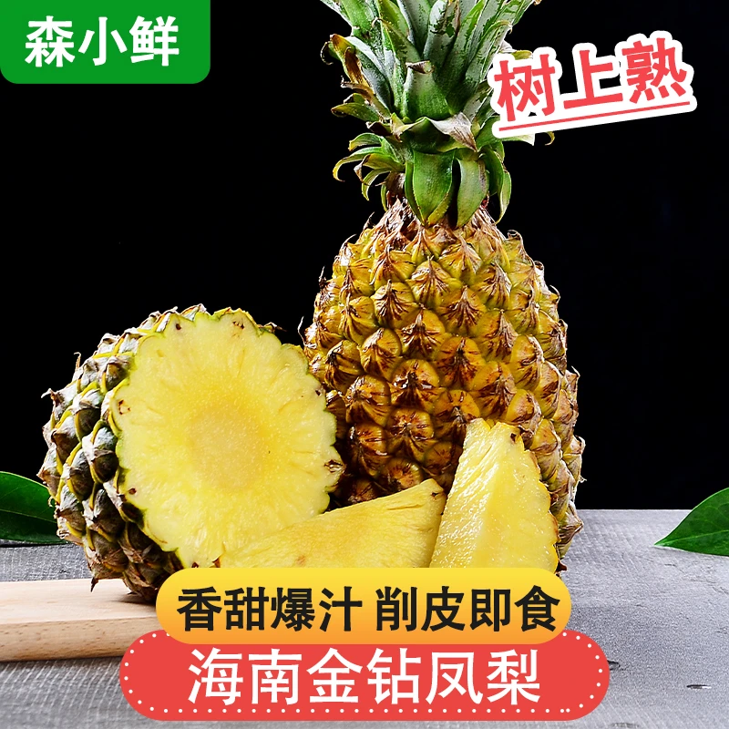 森小鲜【树上熟】海南金钻凤梨香甜爆汁树上自然熟新鲜水果5斤装
