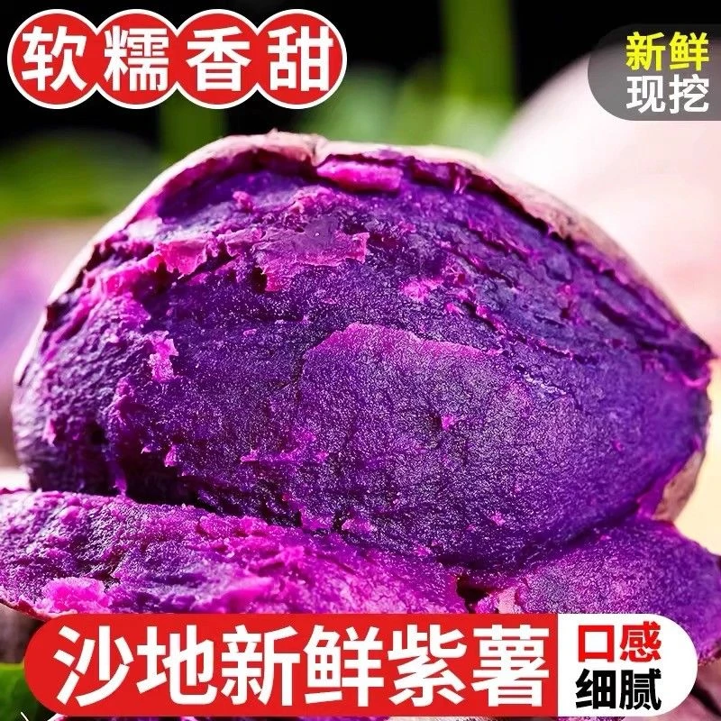 沙地紫薯新鲜现挖软糯香甜可作粗粮早餐
