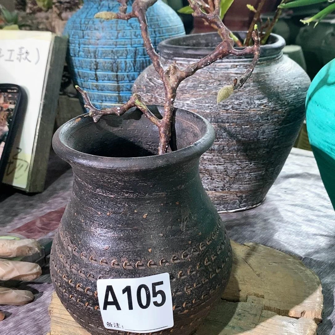 【闪购商品】正品新款