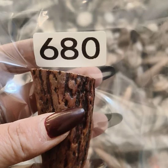 博***览鹿角鹿角鹿角鹿角鹿角鹿角