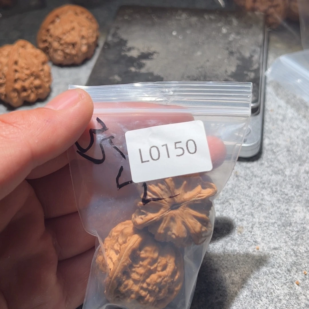 文玩核桃吊坠墨**年白狮子