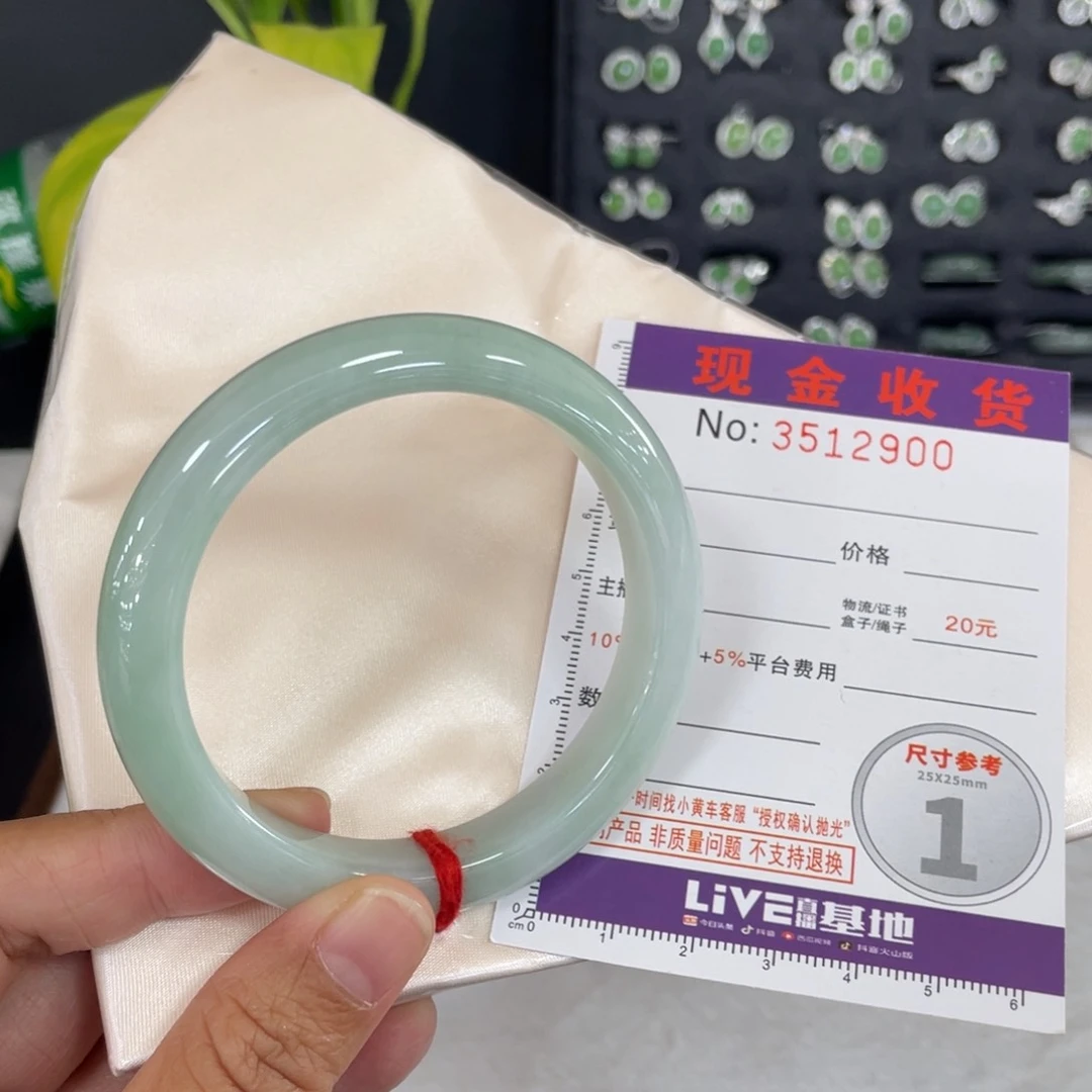 未镶嵌手镯翡翠菜*