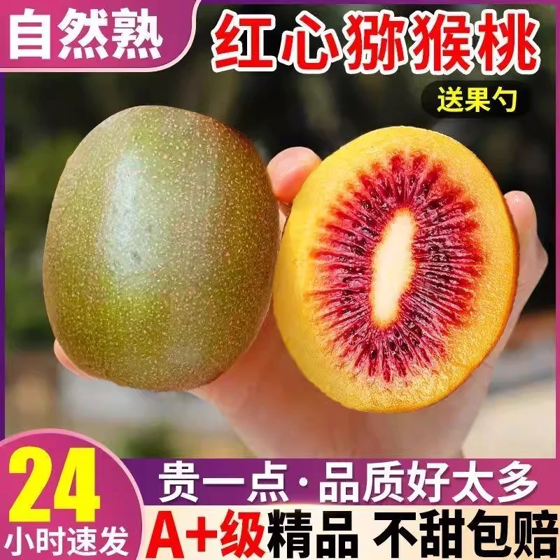 四川蒲江红心猕猴桃新鲜应季当季奇异果香甜多汁孕妇营养水果包邮